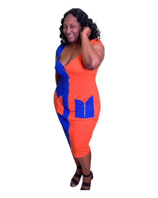 Block Party Zip Dress - Plus Size