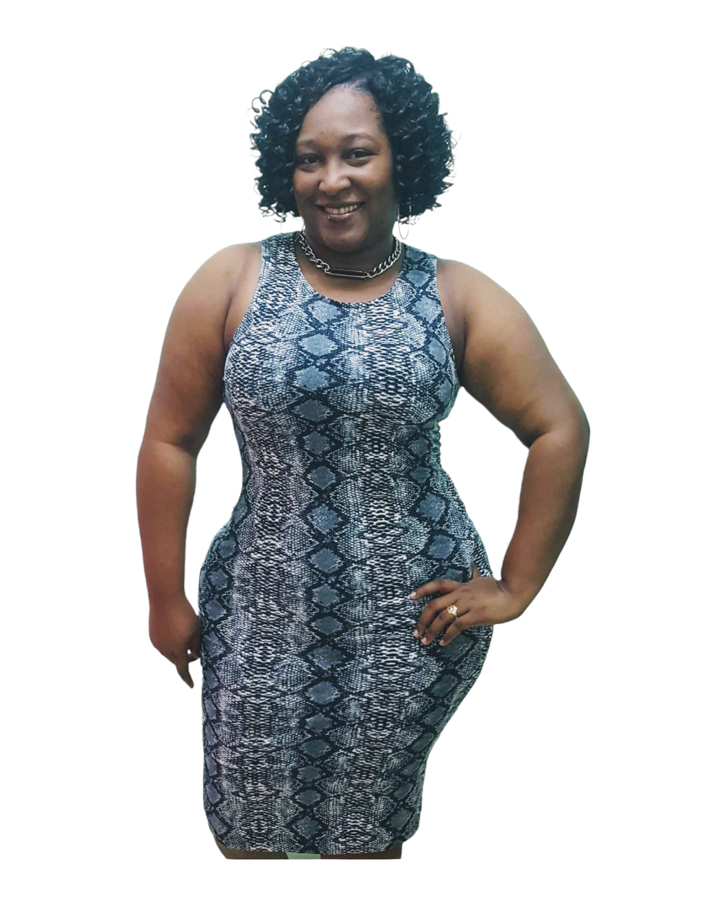 Hiss Dress - Grey Regular