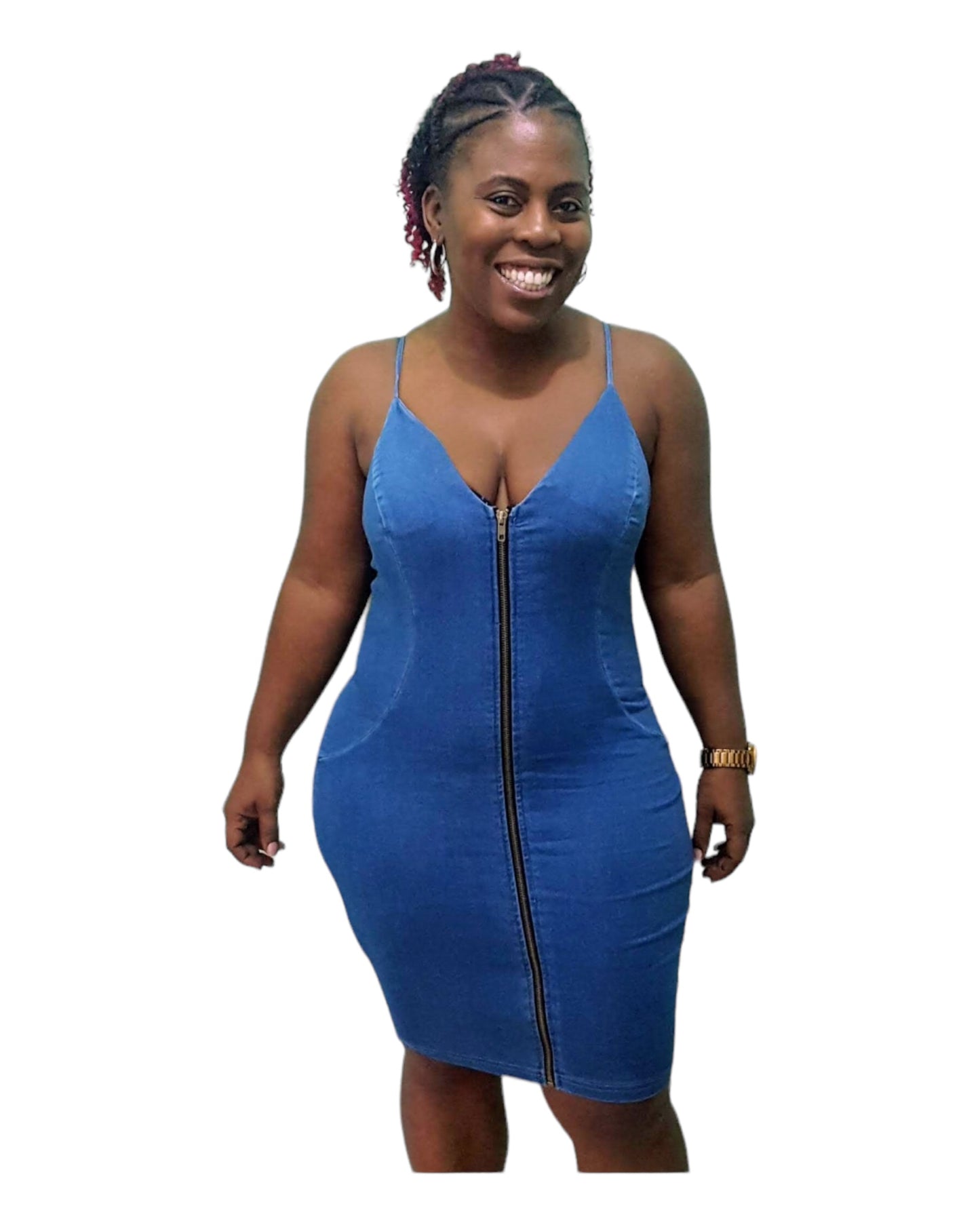 Zip Me Up Dress- Regular Size