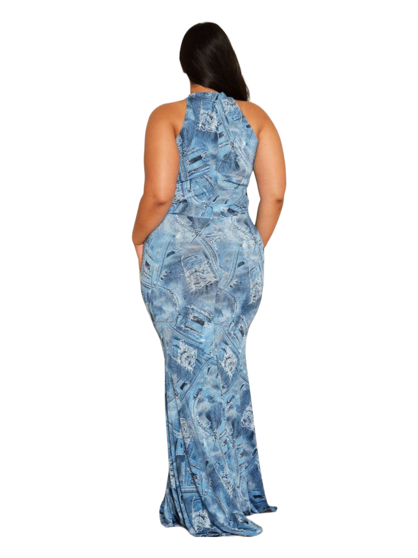 Denim Print Dress - Plus Size
