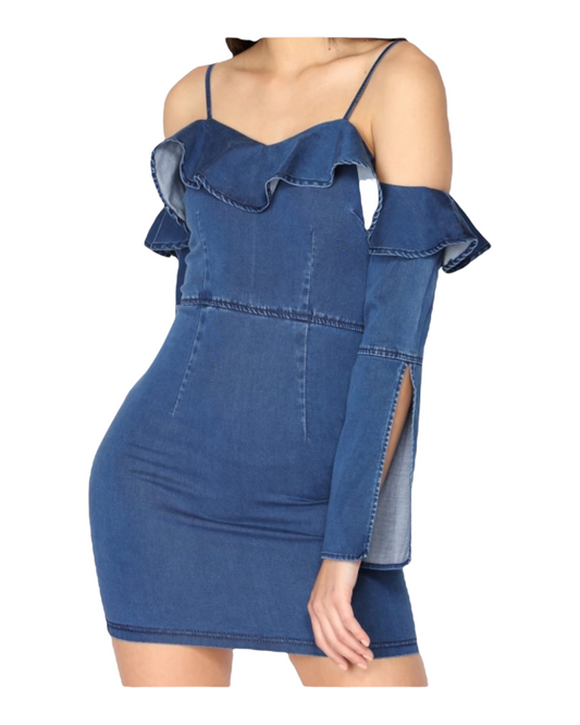 Denim Ruffle Dress - Regular Size