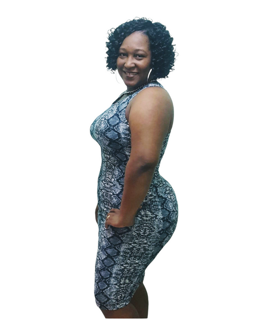 Hiss Dress - Grey Regular