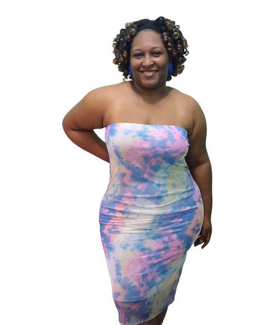 Mesh Tube Dress - Blue & Pink Plus Size