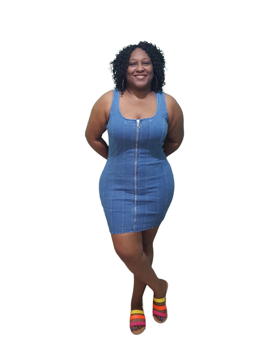 Jays Denim Dress - Medium Blue Plus Size